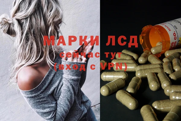 spice Липки
