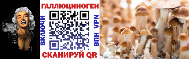 Галлюциногенные грибы Psilocybe Сысерть